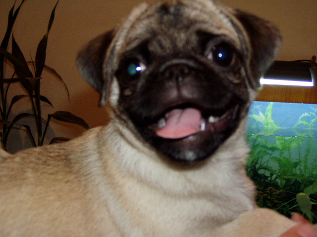 200596203537.jpg