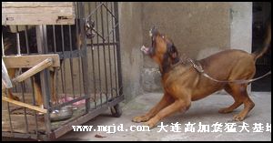 20060927222804.jpg