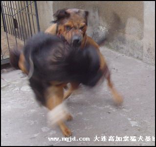 20060927223519.jpg