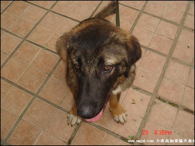 20060929180614.jpg