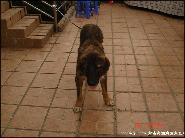 20060929180646.jpg