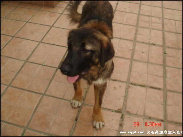 20060929180654.jpg
