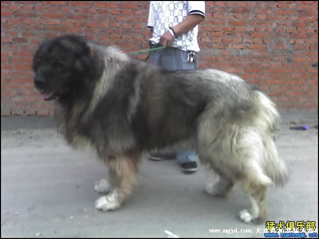 20060930003249.jpg