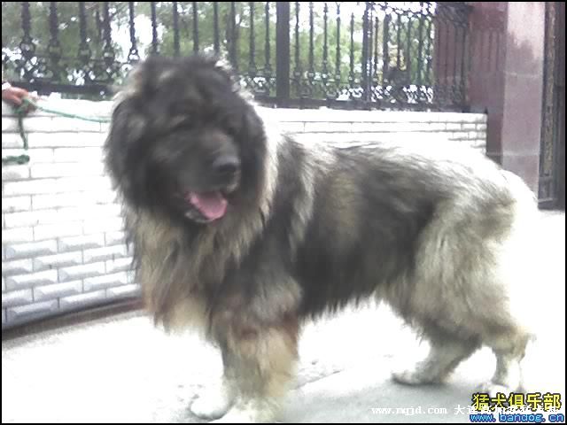 20060930003256.jpg