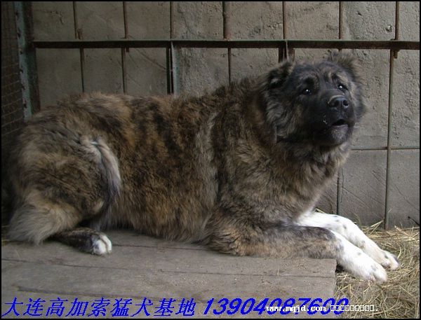 2006101024100.jpg