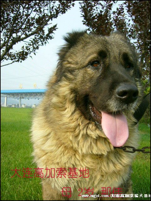 2006101025131.jpg