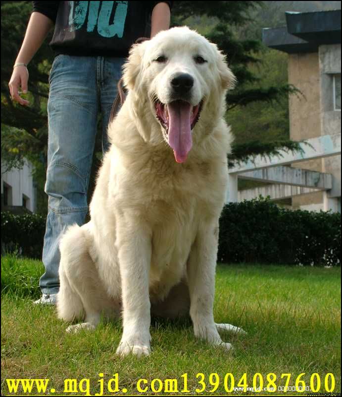 20061017224846.jpg