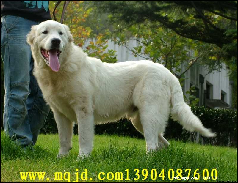 20061017225108.jpg