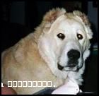 2006102205646.jpg