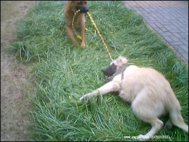20061027181714.jpg