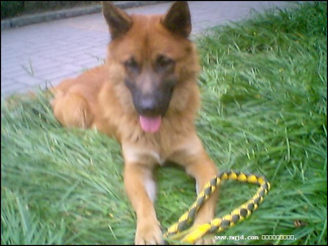 20061027181732.jpg