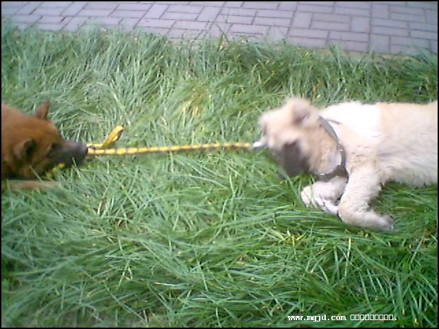 20061027181753.jpg