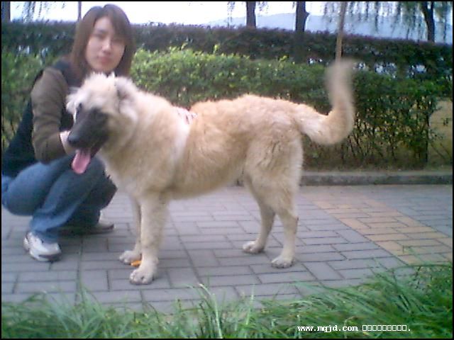 20061027181807.jpg