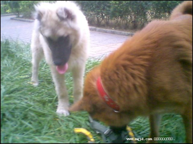 20061027181823.jpg