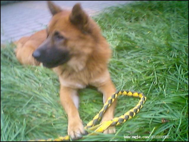 20061027181835.jpg