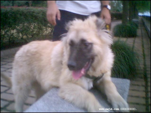 20061027181847.jpg