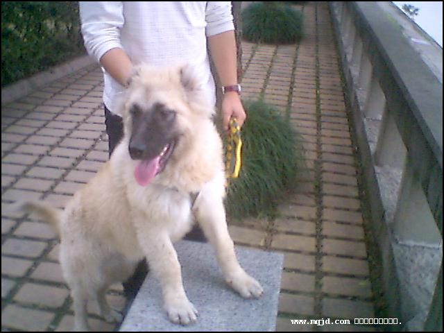20061027181857.jpg