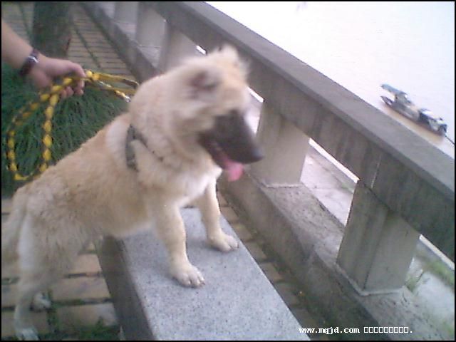 20061027181917.jpg
