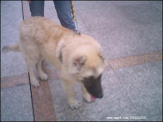 20061027181940.jpg