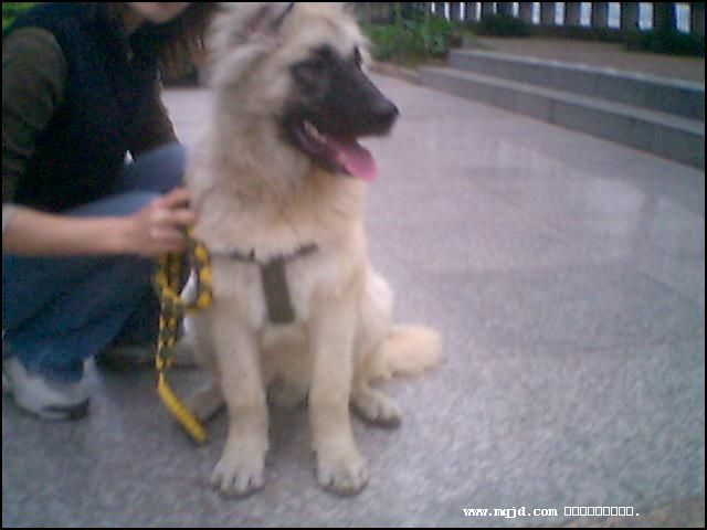20061027182003.jpg