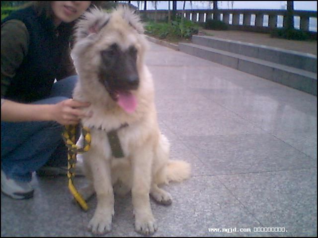 20061027182014.jpg
