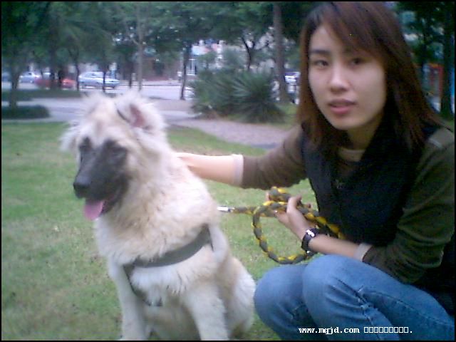 20061027182039.jpg