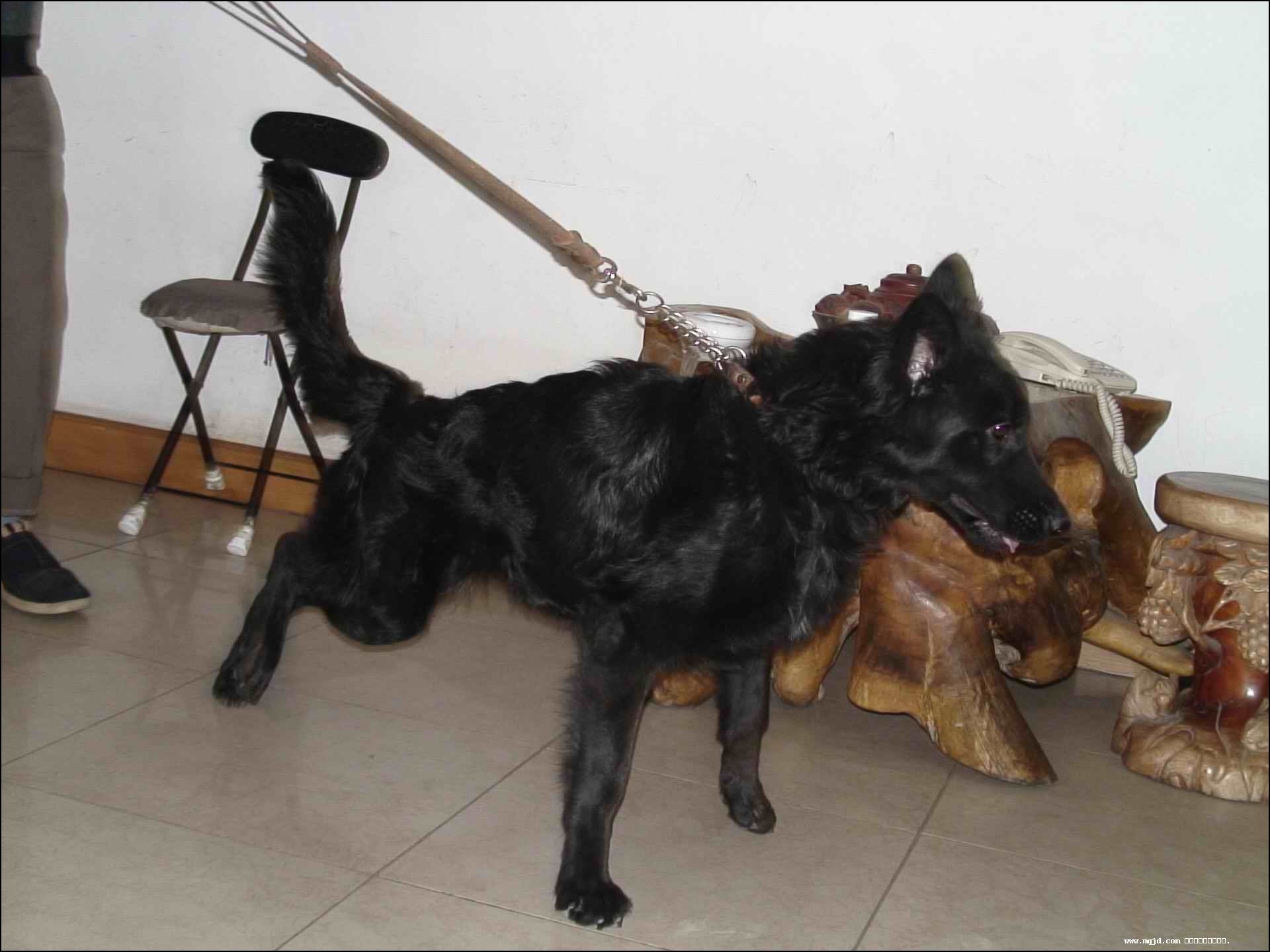 20061029100816.jpg