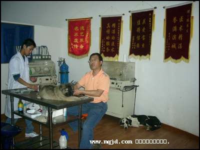 2006109143026.jpg