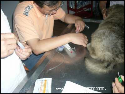 2006109143231.jpg