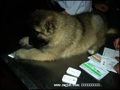2006109143408.jpg