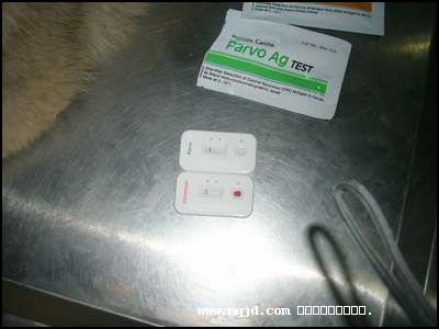 2006109143506.jpg
