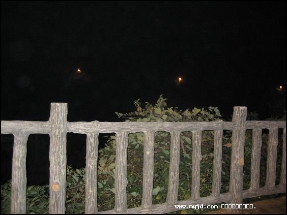 2006109205831.jpg