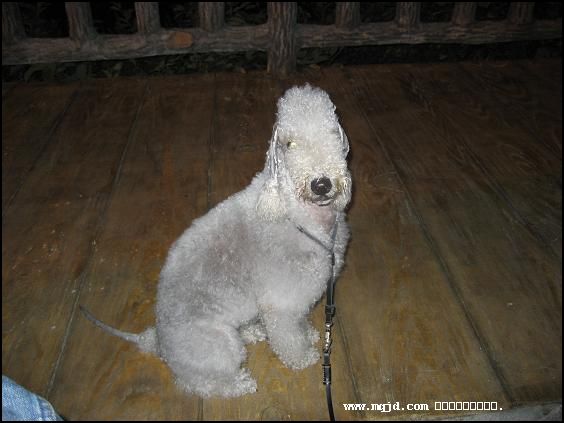 2006109210241.jpg