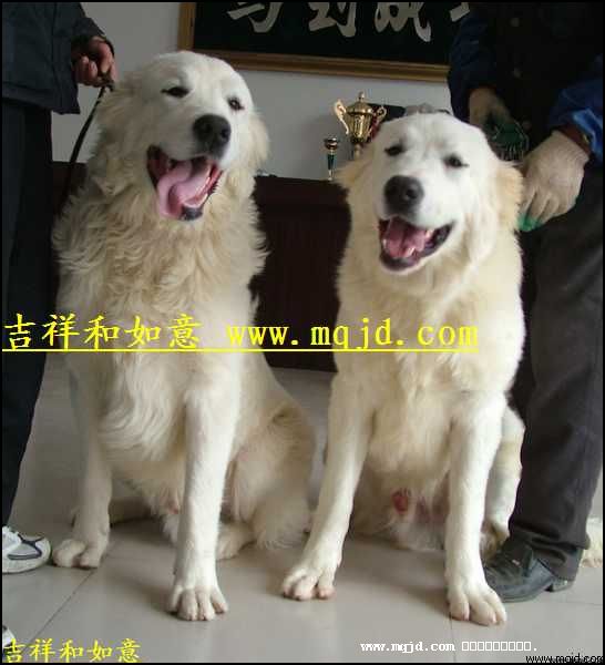 20061118102149.jpg