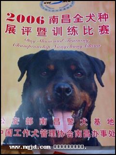 20061121232145.jpg