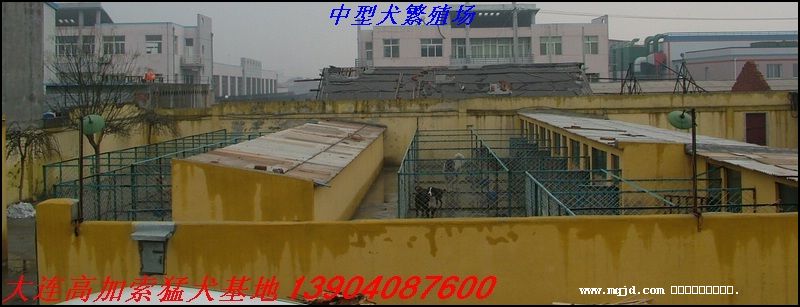 20061123173138.jpg
