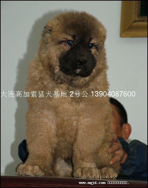 20061126192202.jpg