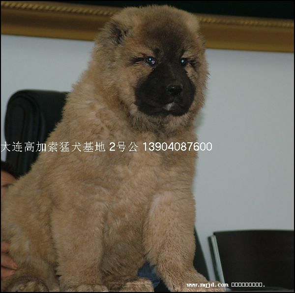 20061126192505.jpg