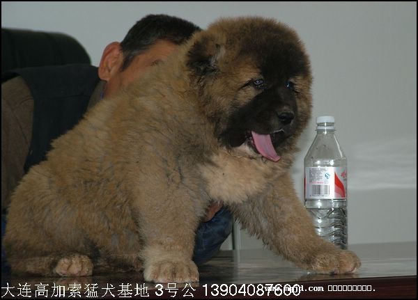 20061126192635.jpg