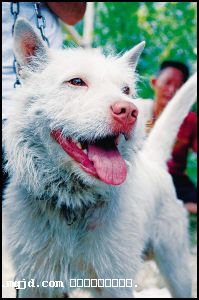2006115174924.jpg