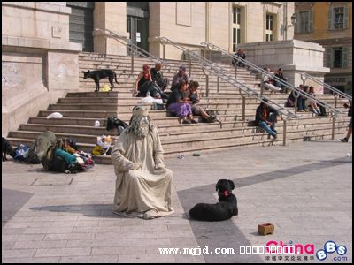 2006118182035.jpg