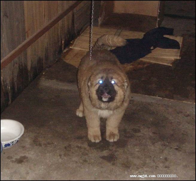 20061210145658.jpg
