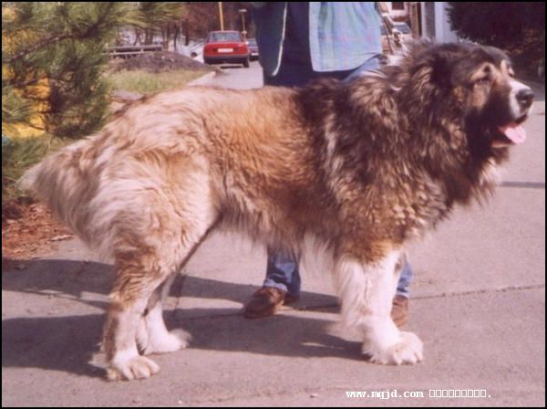 20061214173213.jpg
