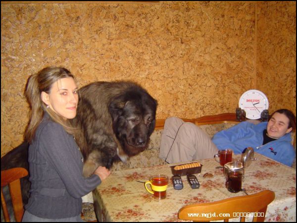 20061214173319.jpg
