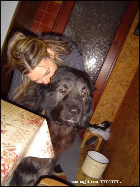 20061214173449.jpg
