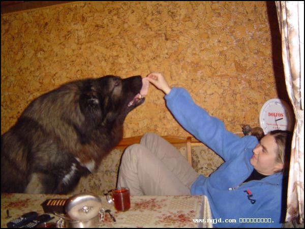 20061214173505.jpg