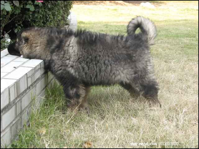 20061219150927.jpg