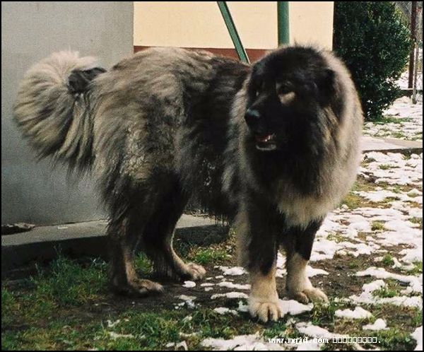 20061219170313.jpg