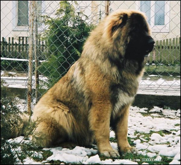 20061219171231.jpg