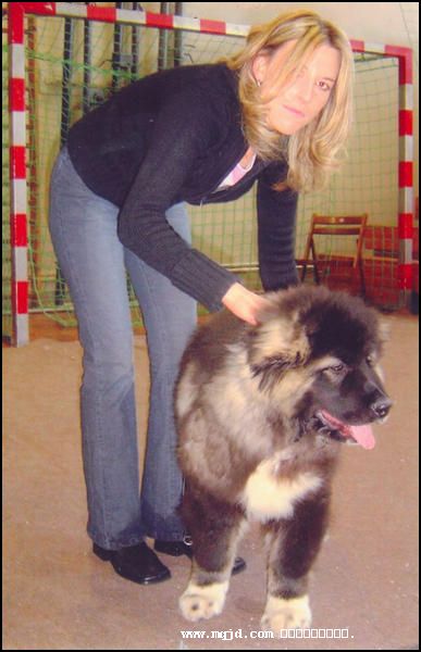 20061219171508.jpg